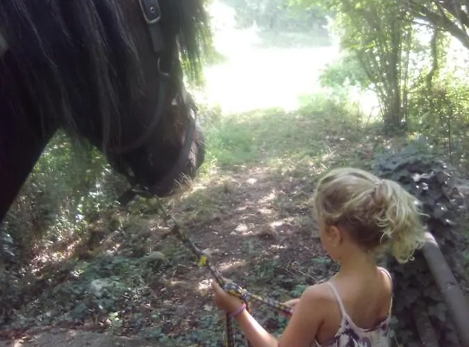 Ramana Hébergement de vacances Montcléra